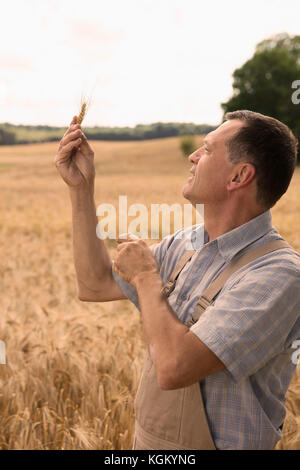 Sorridente uomo maturo guardando il frumento orecchio mentre sta in piedi in una fattoria contro il cielo chiaro Foto Stock