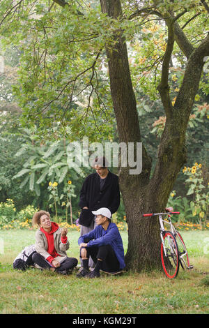 Gli amici di parlare durante i momenti di relax al di sotto di albero sul campo erboso a park Foto Stock