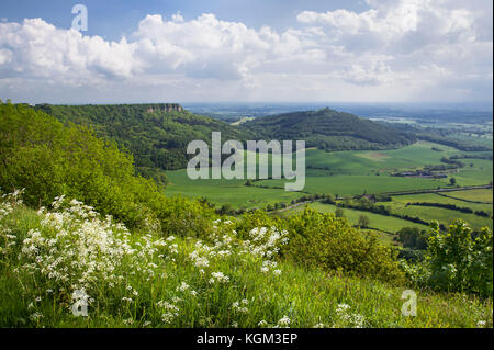 La collina del cofano e la cicatrice roulston da sutton brow North York Moors National Park North Yorkshire, Inghilterra, Regno Unito Foto Stock