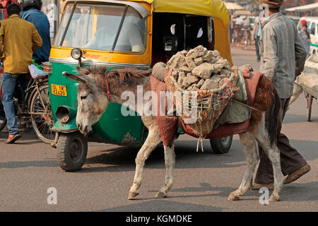 Delhi, India - 20 novembre 2015: uomo indiano e il suo asino il trasporto di macerie nella strada affollata di deli Foto Stock