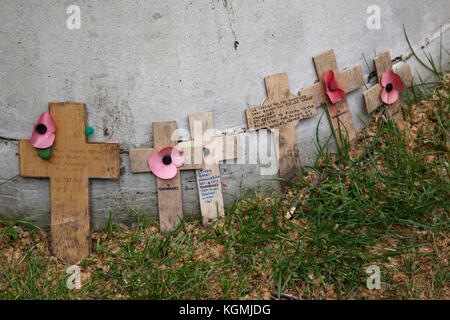 Papaveri e croci secchi, appello annuale di papaveri gestito dalla British Royal Legion, Londra, Inghilterra, Regno Unito Foto Stock