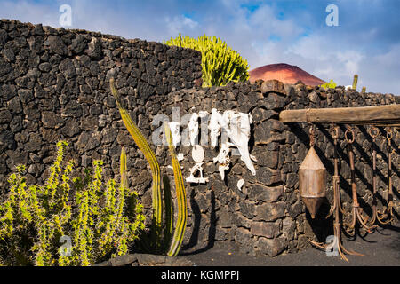 Fondazione Cesar Manrique a Tahiche. Isola di Lanzarote. Isole Canarie Spagna. Europa Foto Stock