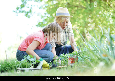 Nonna e nipote del giardinaggio insieme Foto Stock