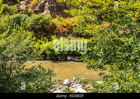 La corrente del fiume derbent dalle montagne con acqua fangosa e pietre, tra gli alberi di Armenia Foto Stock