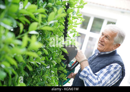 Senior uomo con tagliasiepi Foto Stock