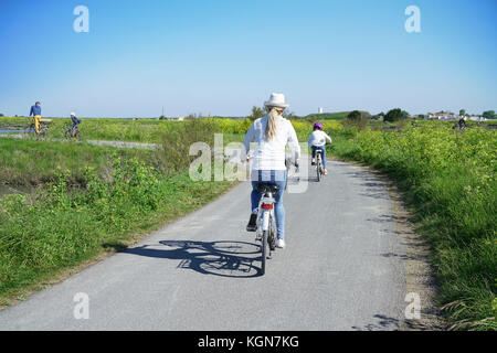 Vista posteriore della famiglia equitazione biciclette sul week-end in campagna Foto Stock