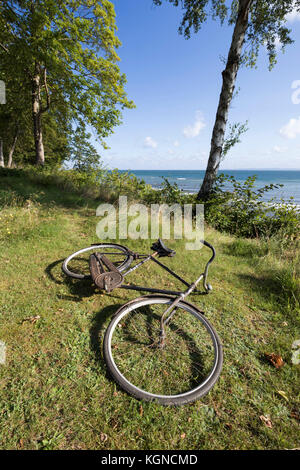 Vecchia bicicletta appoggiata contro il banco di bianco che si affaccia sul mare incorniciato da silver birch e alberi di pino, Munkerup, Kattegat Costa, Zelanda, Danimarca, Europa Foto Stock