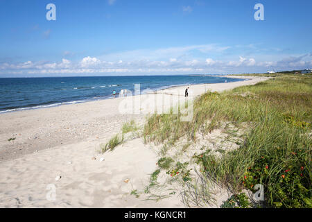 Hornbaek spiaggia con sabbia bianca e dune di sabbia, Hornbaek, Kattegat Costa, Zelanda, Danimarca, Europa Foto Stock