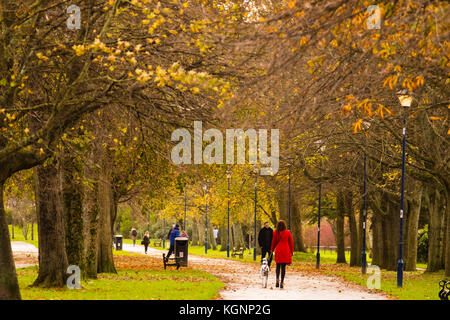 Aberystwyth Galles Regno Unito, venerdì 10 novembre 2017 Regno Unito Meteo: Persone che camminano con i loro cani lungo i fianchi degli alberi del Plascrug Park in una mattina luminosa e ventilata di novembre ad Aberystwyth Galles foto Credit: keith morris/Alamy Live News Foto Stock