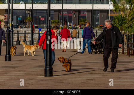 Torquay, Devon, Inghilterra, Regno Unito, 11 Novembre, 2017, UK Meteo: una fredda ma giornata di sole porta le persone a Torquay, Credito: James Hodgson/Alamy Live News. Foto Stock