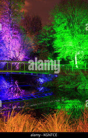 Syon Park, London, Regno Unito. Decimo Nov, 2017. Un sentiero conduce i visitatori attraverso gli illuminati Syon Park con splendidamente illuminate alberi, il lago, Syon House e l' Orangerie con la sua spettacolare laser show Credito: Imageplotter News e sport/Alamy Live News Foto Stock