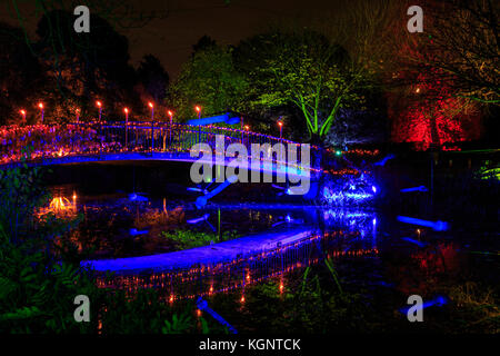 Syon Park, London, Regno Unito. Decimo Nov, 2017. Un sentiero conduce i visitatori attraverso gli illuminati Syon Park con splendidamente illuminate alberi, il lago, Syon House e l' Orangerie con la sua spettacolare laser show Credito: Imageplotter News e sport/Alamy Live News Foto Stock