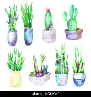 Il cactus e houseplant isolati su sfondo bianco. acquerello disegnata a mano impostare illustrazione Foto Stock