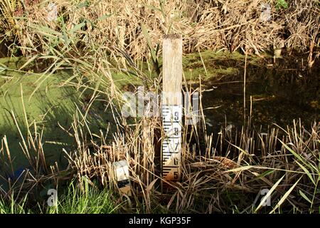 Marcatore di inondazione in streaming sul rspb fowlmere riserva naturale in novembre Foto Stock
