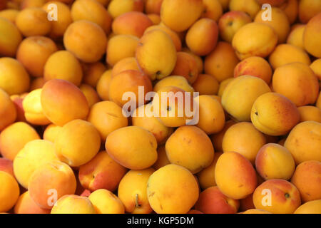 Vouliagmeni Grecia Saturday Market albicocche Foto Stock