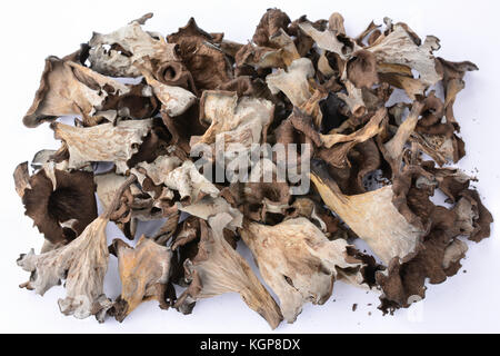 Grande pila di essiccato deliziosa e piccante corno dell'abbondanza di funghi su sfondo bianco Foto Stock