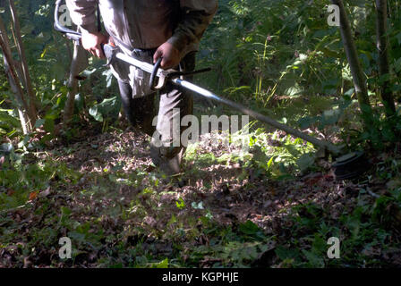 La falciatura di erba.agricoltore giardino sfalcio e pulizia. Foto Stock