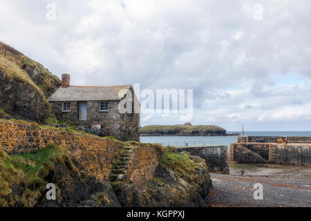 Mullion Cove, penisola di Lizard, Cornwall, Regno Unito Foto Stock