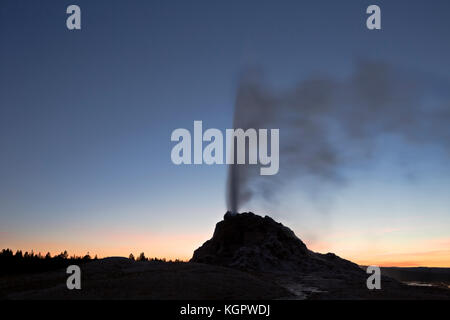 Wy02576-00...Washington - cupola bianca geyser su firehole drive, eruttando al tramonto nel parco nazionale di Yellowstone. Foto Stock