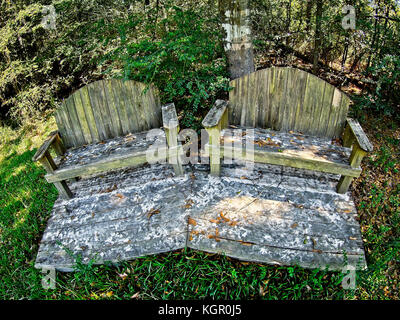 Spring TX USA - 17 ottobre 2017 - due vecchie panchine in legno nei boschi Foto Stock