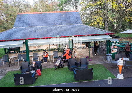Bute Park,autunno,caduta,fogliame,alberi,verde,verde,verde,Cardiff,capitale,Caerdydd,South Glamorgan,Galles,Welsh,UK,U.K.,l'Europa, Foto Stock