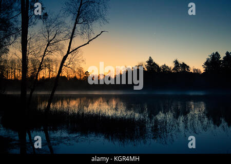 Una bellissima alba sulle sponde di un lago con una nebbia di sollevamento. bella mattina in zone umide in Lettonia. autunno paesaggio in colori luminosi. Foto Stock