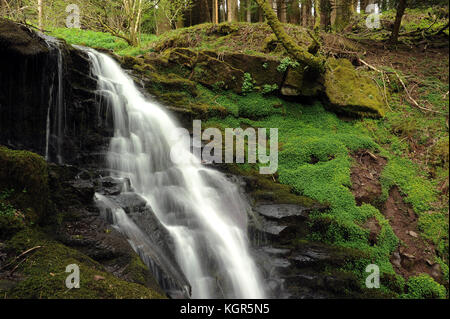 Penultima cascata sulla nant bwrefwr. Foto Stock