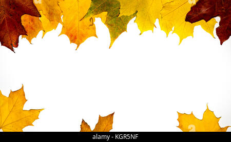 In autunno la caduta di foglie di acero isolato su sfondo bianco Foto Stock