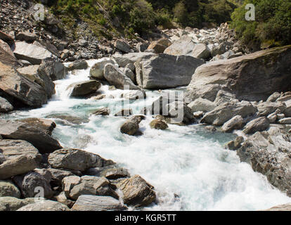 Haast fiume nella costa Ovest della Nuova Zelanda Foto Stock