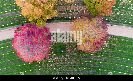 Fotografia aerea mostra il solo americano cimitero di guerra in Gran Bretagna avente le foglie di autunno cancellata in preparazione per i veterani cerimonia della giornata questa settimana.il cimitero di madingley,cambridge, ha 3 812 tombe. il venerdì più di 50 semi di papavero ghirlande sarà prevista presso il cimitero di onorare gli americani sepolto in Inghilterra che morì in entrambe le guerre mondiali. Il servizio verrà includono i membri della Royal Air Force e militari degli Stati Uniti e un minuto di silenzio sarà organizzata per commemorare il giorno. il cimitero copre 30,5 acri di terra con 3 812 lapidi di soldati americani. Foto Stock
