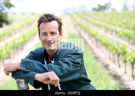 Vinegrower sorridente in piedi in vigna Foto Stock