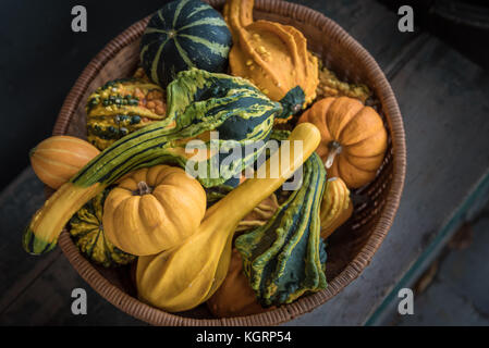 Mini zucche, squash e zucche disposte nel cestello rotondo sulla parte superiore del rustico tronco di legno Foto Stock