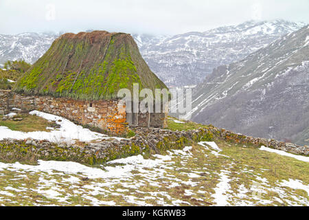 Teito (tradizionale pastore casa) in somiedo parco naturale, Asturias Spagna. Foto Stock