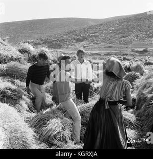 Vacanze estate (1963) , Cliff Richard , Jeremy Bulloch Foto Stock