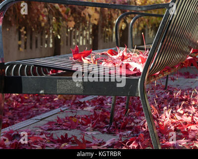 Banco vuoto park foglie rosse autunno sfondo Foto Stock