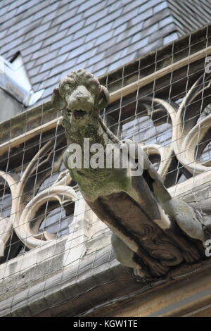 Gargoyle in saint germain l'auxerrois chiesa. parigi, francia Foto Stock