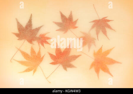 Giapponese rosso giallo maple leaf sulla carta tradizionale Foto Stock