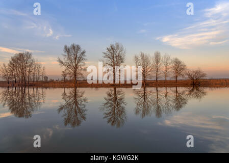 Bellissimo paesaggio con alberi, cielo blu e nuvole si riflettono nell'acqua liscia del fiume alla luce del sole di setting Foto Stock