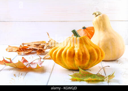 Zucca e Patty pan e acero, rovere foglie gialle su una bianca tavolo in legno. raccolto autunnale Foto Stock