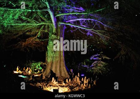 Syon Park il bosco incantato 2017 Foto Stock