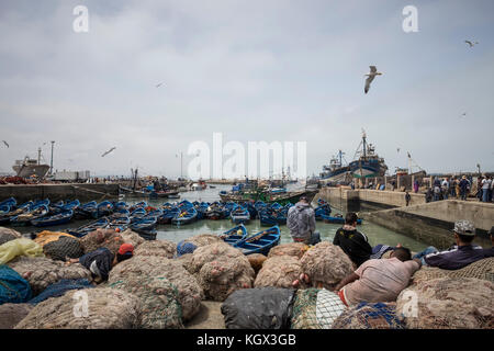 Il Marocco,Essaouira,mercato del pesce Foto Stock