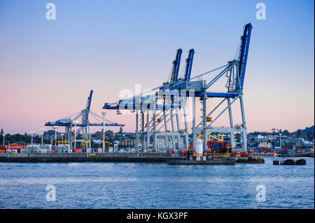 Pontile nel porto di Auckland in Nuova Zelanda Foto Stock