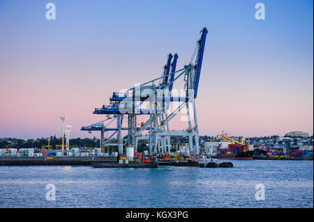 Pontile nel porto di Auckland in Nuova Zelanda Foto Stock