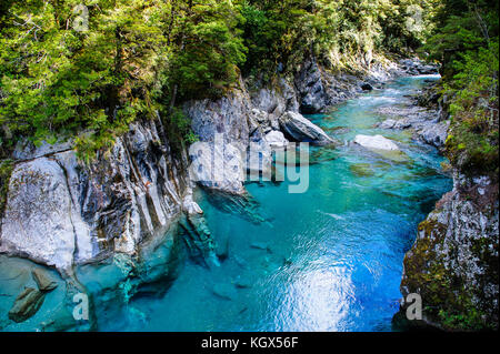 Il fantastico blu piscine, haast pass, Isola del Sud, Nuova Zelanda Foto Stock