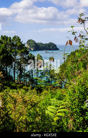 Outlook su Cove della cattedrale, coromandel, Isola del nord, Nuova Zelanda Foto Stock