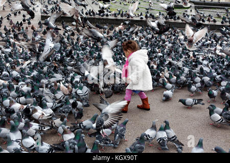 Piccola ragazza cattura piccioni in Plaza Catalunya, Barcelona, Spagna. Foto Stock