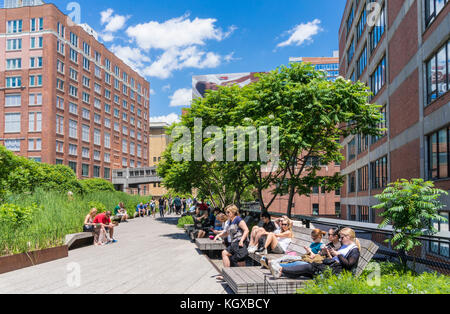 Stati Uniti New York new york La linea alta new york parco urbano formato da un elevata abbandonata della ferrovia in Chelsea Lower Manhattan New York City HIGHLINE Foto Stock