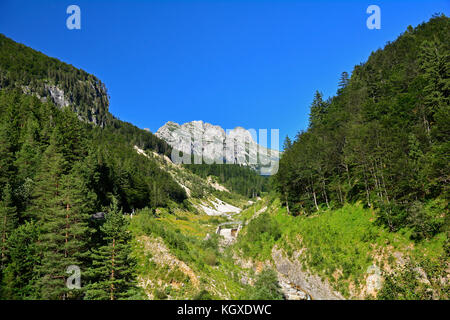 Il versante sloveno italiano del confine sloveno vicino alla montagna di mangrt, la terza vetta più alta della Slovenia Foto Stock