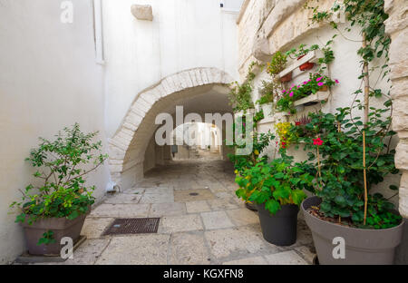 Cisternino (Italia) - il centro storico della piccola e graziosa città bianca della provincia di Brindisi, puglia, italia meridionale Foto Stock