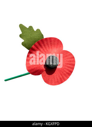 Royal British Legion papavero su sfondo bianco, Surrey, England, Regno Unito Foto Stock